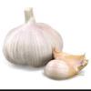 Gary.Garlic - @gary.garlic - TikTok