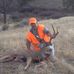 Gary Gault - Facebook