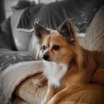 Gary Gavin - @garygavin2 - Instagram