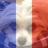 Gary Gerhart - @garygerhart391 - TikTok