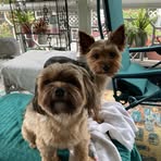 Gary Gillispie - Facebook