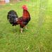 Gary Gilbreath - Facebook