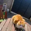 xxGaryAndGingerxx - @xxgaryandgingerxx - TikTok