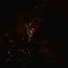 garygipson30 - @gary.gipson3 - TikTok