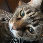 Gary Girard - @garyjgirard - Instagram