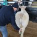 Gary Girard - Facebook