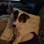 Gary Gladding - @garygladding - Instagram