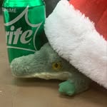 Gary - @garythegatoratglades - Instagram