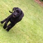 Gary Glancy - @garyglancy - Instagram