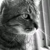 GaryG - @garyglancy - TikTok