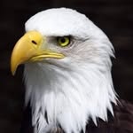 Gary Glaze - @glaze3741 - Instagram