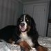 Gary Glazier - Facebook
