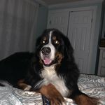 Gary Glazier - @gary_glazier - Instagram