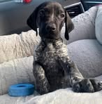 Corey Gleaton - Facebook