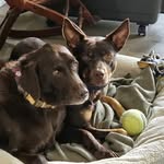 Gary Glick - @1981aggies - Instagram