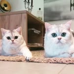 GARY&GLORIA - @gary_gloria.bsh - Instagram
