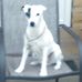 Gary Gaunt - Facebook