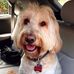 Gary Glushon - Facebook