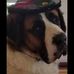 Gary Glynn - Facebook