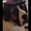 garyglynn700 - @garyglynn700 - TikTok