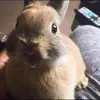 Gary GO - @gary.go8 - TikTok