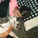 Gary Godbey - @godbeywithdanes - Instagram