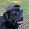 GarygoodBoy - @goodboygary - TikTok