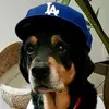 Gary Goeske - @2183800914 - TikTok