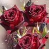 Gary Goetzke - @garygoetzke - TikTok