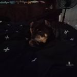 Gary Goforth Jr - @garylgoforthjr - Instagram
