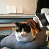 Gary Au - @gary.gold - TikTok