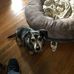 Gary Goldner - Facebook