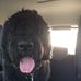 Gary Goldfarb - Facebook