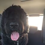 Gary Goldfarb - @goldfarbgary - Instagram
