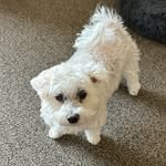 Gary Good - @bebwade - Instagram