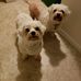 Gary Goodman - Facebook