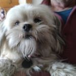 gary grace - @garygrace76 - Instagram