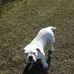 Gary Graham - Facebook