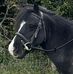 Gary Graham - Facebook