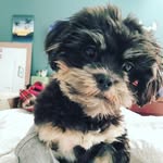 Gary 2.0 - @garygrammm - Instagram