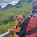 Gary Glancy - @garygram.pupadventures - Instagram