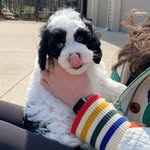 Gary - @the.gary.gram - Instagram