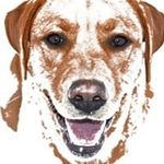 Gary Gray - @garywynngray - Instagram