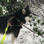 Gary Greengrass - @kiwiinuk72 - Instagram
