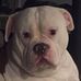 Gary Greenwell - Facebook