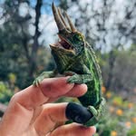 Gary Gregson - @gregson_gary - Instagram