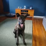 Gary Grim - @garylgrim - Instagram