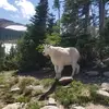 Life on the trail - @garygrimes - TikTok