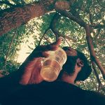 Gary - @king_gary_grizzle_bear - Instagram