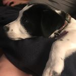Gary Groseclose - @garygroseclose - Instagram